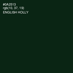 #0A2513 - English Holly Color Image